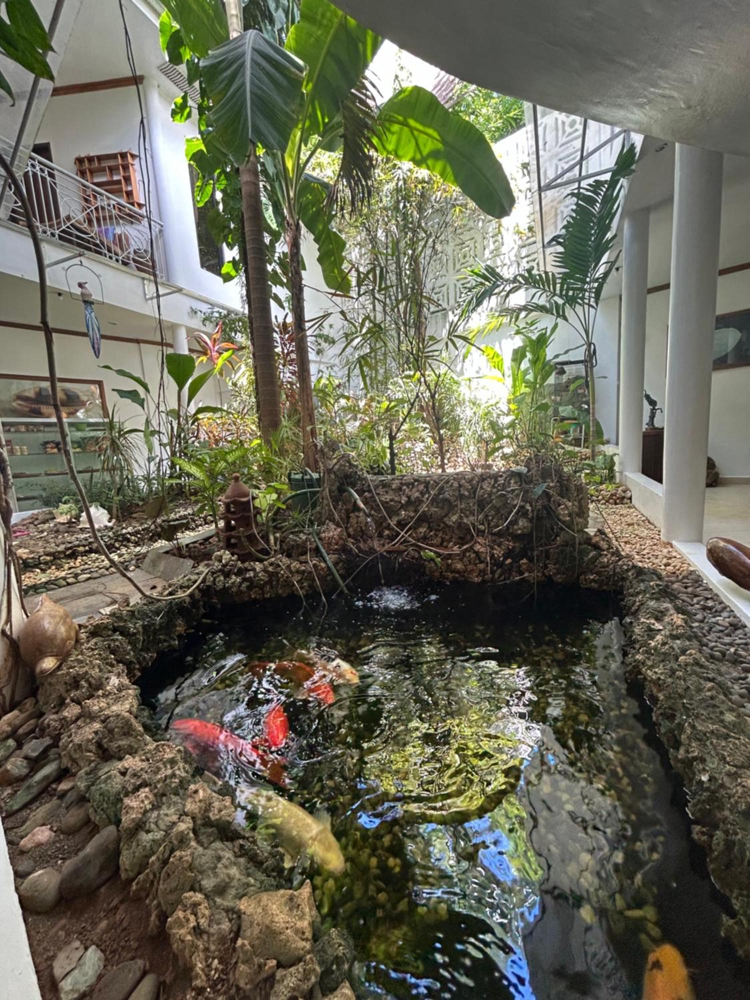 Argonauta Boracay Apartment Suites&Villas Boracay Island Exterior foto